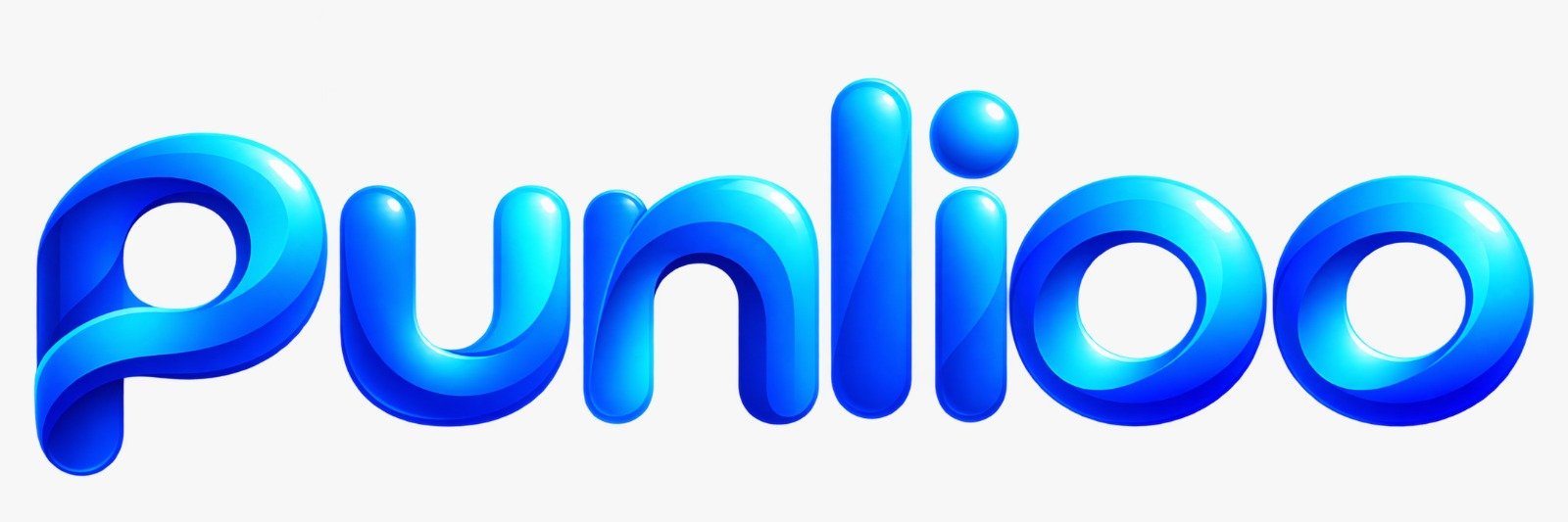 punlioo.com
