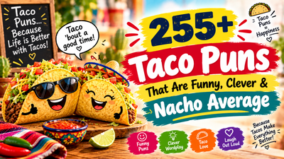 255+ funny and clever taco puns that are nacho average