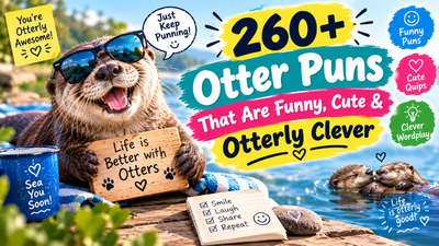 260+ funny, cute, and otterly clever otter puns
